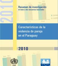 Violencia de la Pareja 2010